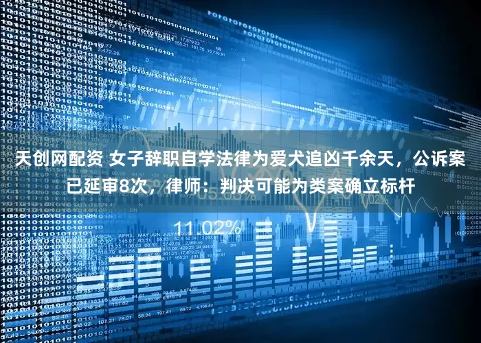 天创网配资 女子辞职自学法律为爱犬追凶千余天，公诉案已延审8次，律师：判决可能为类案确立标杆