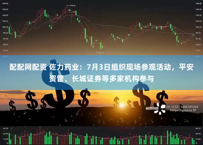 配配网配资 佐力药业：7月3日组织现场参观活动，平安资管、长城证券等多家机构参与