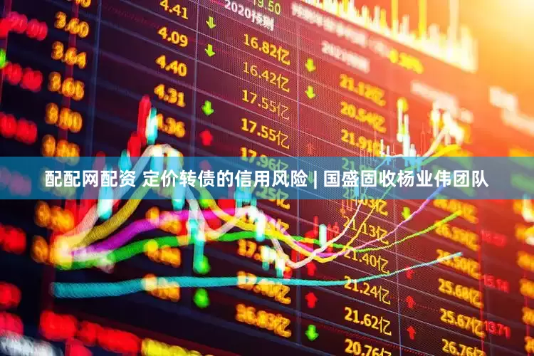 配配网配资 定价转债的信用风险 | 国盛固收杨业伟团队
